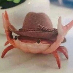 Meet your Posher, Nickolas